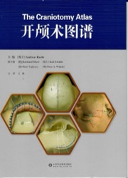 开颅术图谱