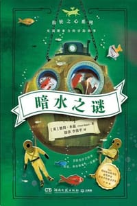 书籍 暗水之谜的封面