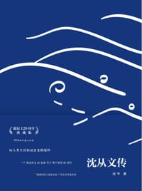 沈从文传 - 凌宇
