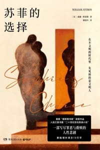 书籍 苏菲的选择的封面