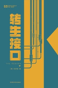 书籍 转生接口的封面