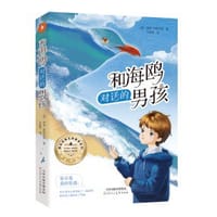 和海鸥对话的男孩