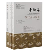 宋辽金诗鉴赏 - 无名图书