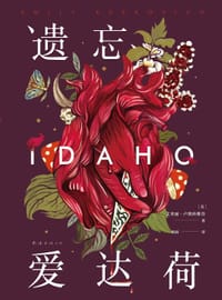 书籍 遗忘爱达荷的封面