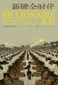 书籍 新镀金时代的封面