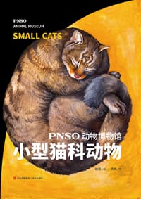 PNSO动物博物馆：小型猫科动物 - 赵闯（绘） 杨杨（文）