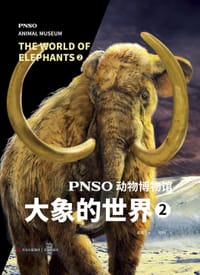 PNSO动物博物馆：大象的世界2 - 赵闯（绘）