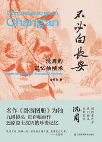 书籍 不必向长安的封面