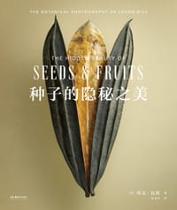 种子的隐秘之美