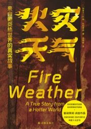 火灾天气 - [加] 约翰·瓦利恩特