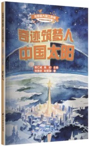 奇迹筑梦人·中国太阳