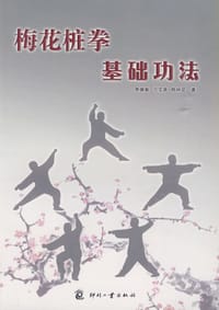 梅花桩拳基础功法