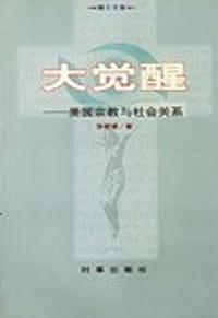 书籍 大觉醒的封面