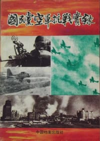 书籍 国民党空军抗战实录的封面
