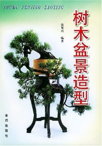 书籍 树木盆景造型的封面