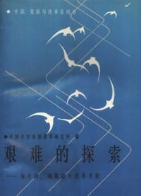 书籍 艰难的探索的封面