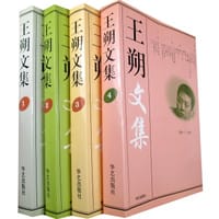 书籍 王朔文集的封面