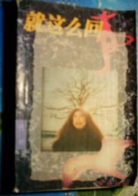 书籍 就这么回事的封面