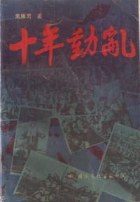 十年动乱 - 黑雁男