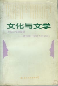 文化与文学