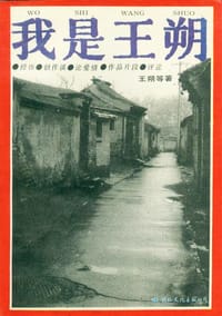 我是王朔 - 王朔