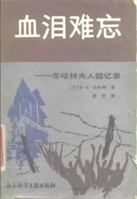 书籍 血泪难忘的封面