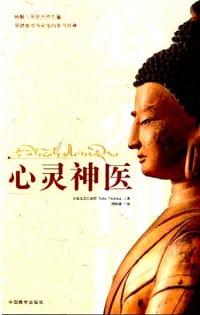 心灵神医 - 东杜法王仁波切 著