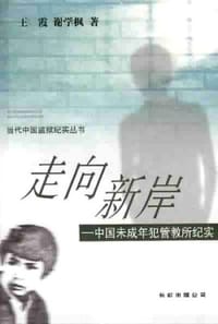 书籍 走向新岸的封面