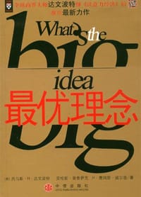 最优理念 - 托马斯·H·达文波特