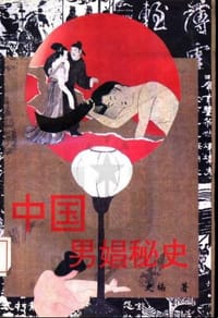 中国男娼秘史 - 史楠