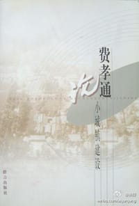费孝通论小城镇建设