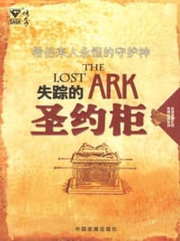 书籍 失踪的圣约柜的封面