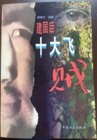 书籍 建国后十大“飞贼”的封面
