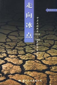 书籍 走向冰点的封面