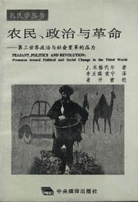 书籍 农民、政治与革命的封面