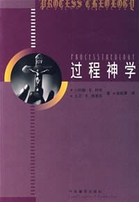 书籍 过程神学的封面