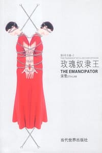 书籍 玫瑰奴隶王的封面