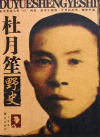 书籍 杜月笙野史的封面