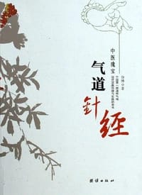 气道针经 - 仿佛