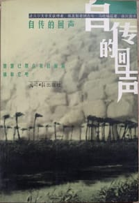 书籍 自传的回声的封面