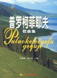 中国财政风险 - 何开发编著