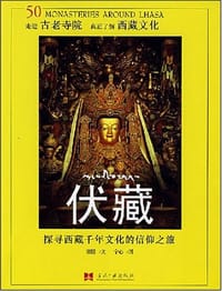 伏藏 - 崔憶/文
