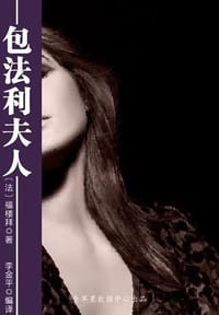 书籍 包法利夫人的封面
