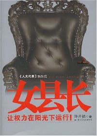 书籍 女县长的封面