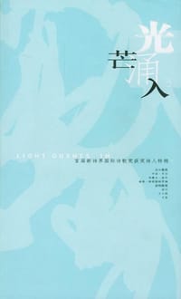 光芒涌入 - 李岱松编