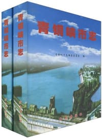 青铜峡市志（上下）