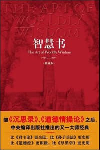 书籍 智慧书的封面
