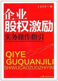 企业股权激励实务操作指引 - 王文书