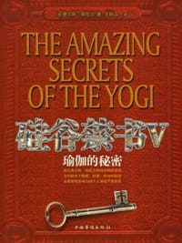 书籍 硅谷禁书5的封面