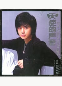 天使的声音 - 宋晓波